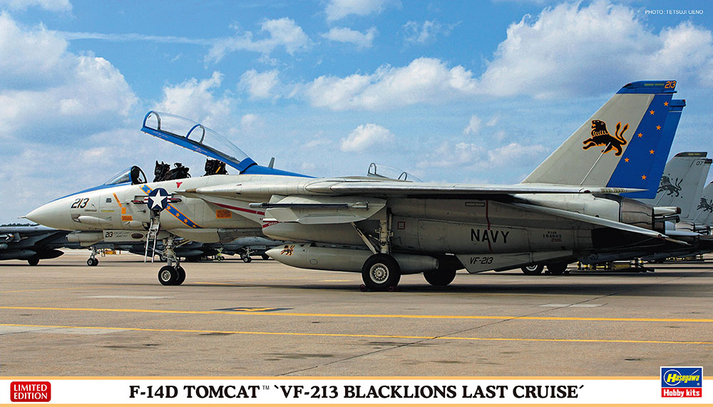 HA02406 - F-14D Tomcat VF-213 Blacklions Last Cruise