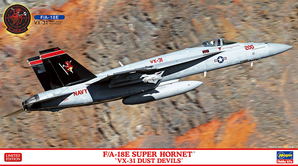 HA02424 - FA-18E Super Hornet VX-31 Dust Devils