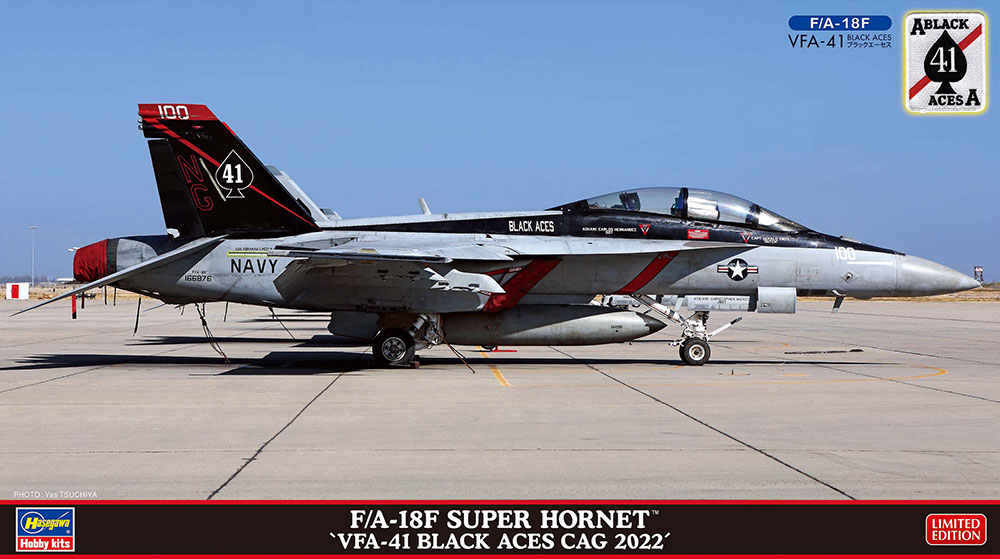 HA02429 - FA-18F Super Hornet, VFA 41 Black Aces Cag