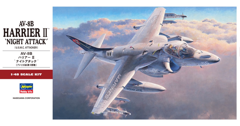 HA07234 - AV-8B Harrier II, Night Attack