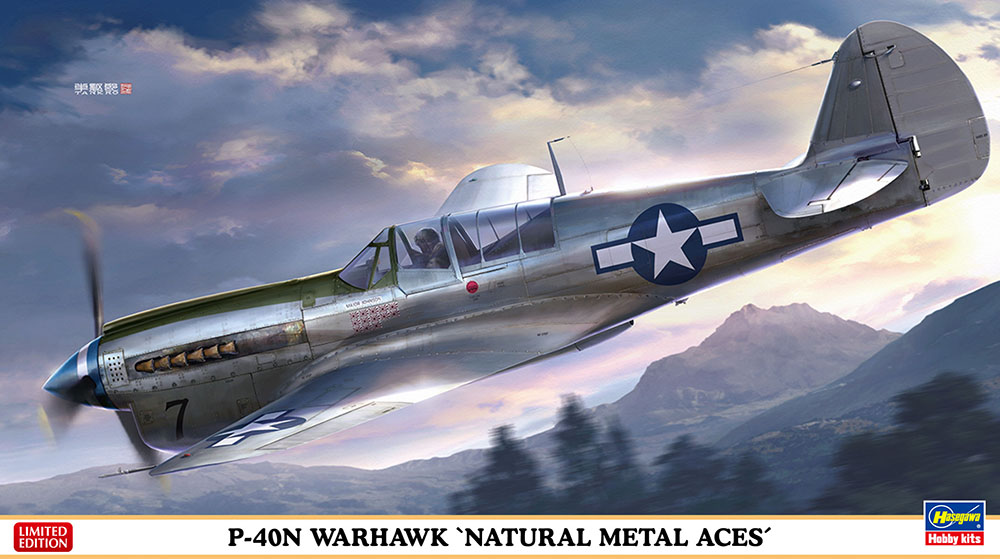 HA07516 - P-40N WARHAWK NATURAL METAL ACES