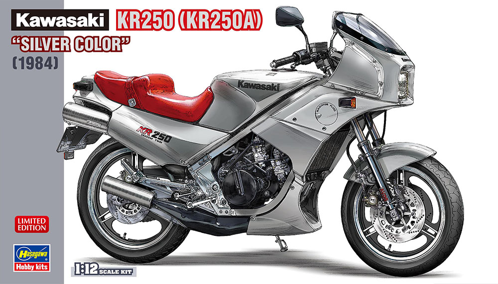 HA21747 - Kawasaki KR250, Silver Color
