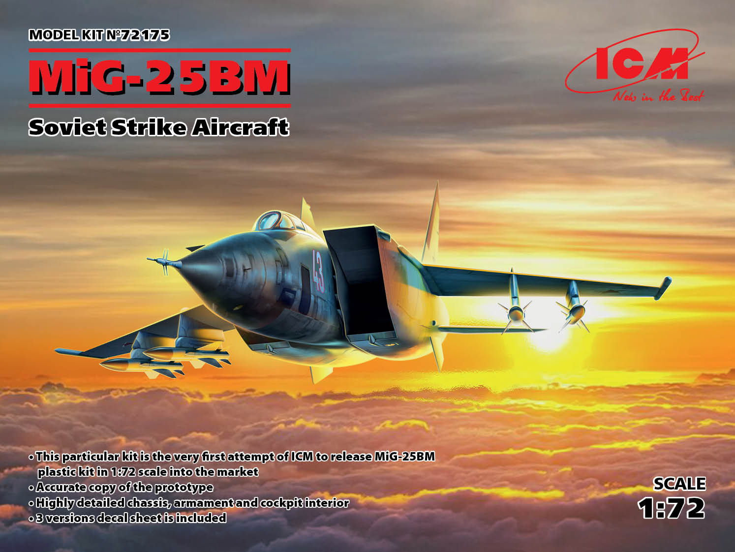 ICM72175 - MiG-25 BM Soviet Strike Aircraft