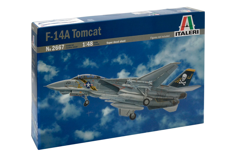 2667 - F - 14 A TOMCAT