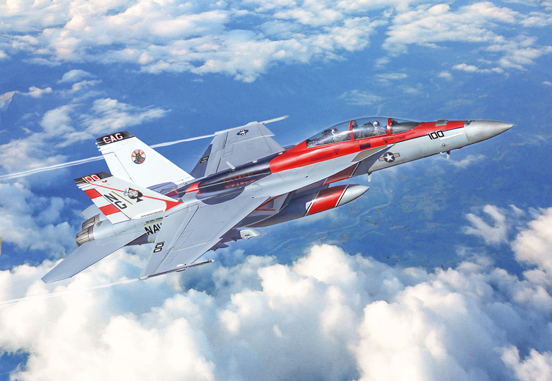 2823 - F/A-18F Super Hornet U.S. Navy Special Colors