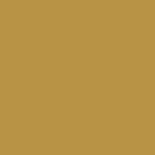 4673AP - F - Wood - 4673AP - F.S. 17043 -20 ml